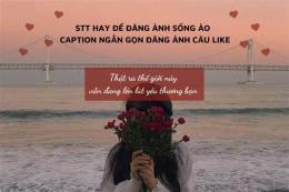 tính năng nổi bật stt hay về gà đá