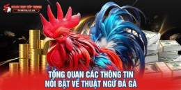 tính năng nổi bật stt về gà đá