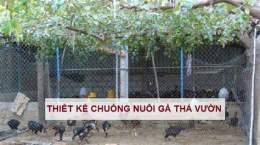 tính năng nổi bật thiet ke chuong nuoi ga da