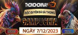 tính năng nổi bật thomohomnay đá gà trực tiếp