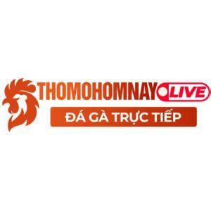 tính năng nổi bật thomohomnay trực tiếp đá gà