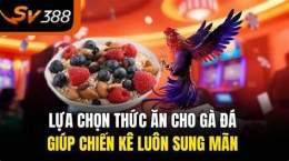 tính năng nổi bật thuc an cho ga da