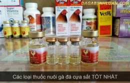 tính năng nổi bật thuốc chích gà đá cựa sắt