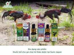 tính năng nổi bật thuốc dai da gà chọi