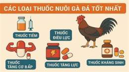 tính năng nổi bật thuoc nuoi ga da hieu qua nhat