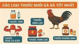 tính năng nổi bật thuoc nuoi ga da