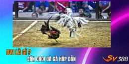 tính năng nổi bật tìm đá gà
