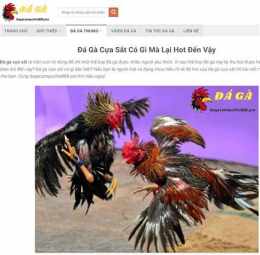 tính năng nổi bật tin tuc bat da ga moi nhat
