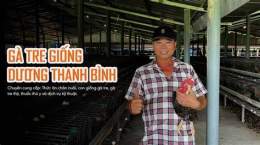 tính năng nổi bật trại gà tre đá