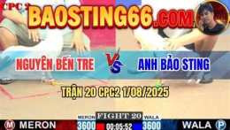 tính năng nổi bật trận đá gà bảo sting