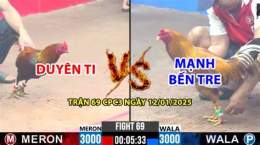 tính năng nổi bật trận gà đá duyên ti