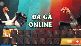 tính năng nổi bật trang đá gà 247