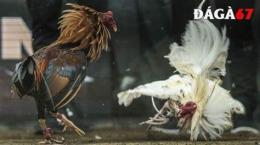 tính năng nổi bật trực đa ga hôm nay