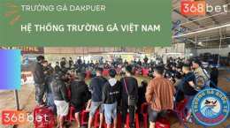 tính năng nổi bật trực tiếp đá gà dakpuer 888 hôm nay