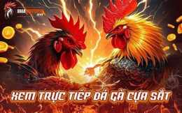 tính năng nổi bật truc tiep ga da c1