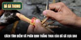 tính năng nổi bật tructiep da ga cua dao