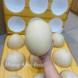 tính năng nổi bật trứng gà đà điểu