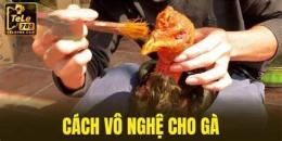 tính năng nổi bật vô nghệ cho gà đá dụng quy trình