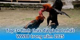 tính năng nổi bật ww88 đá gà trực tiếp