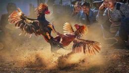 tính năng nổi bật xem đá gà 179