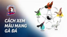 tính năng nổi bật xem đá gà dagacampuchia