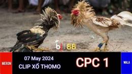 tính năng nổi bật xem đá gà thomo ở đâu