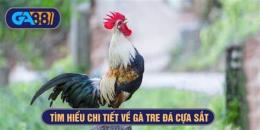 tính năng nổi bật xem ga tre da cua sat