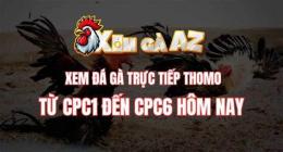tính năng nổi bật xóm gà az đã trực tiếp