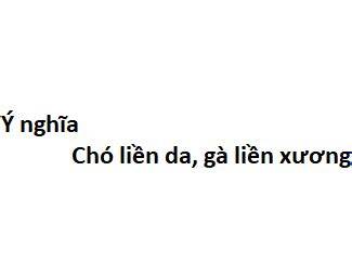 tính năng nổi bật ý nghĩa câu chó liền da gà liền xương