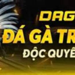 trận 21 c3 hôm nay đá gà