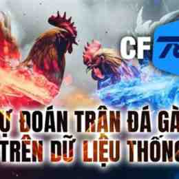 tran da ga don hay nhat