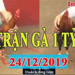 trận gà đá 1 tỷ