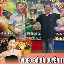trận gà đá giải của duyên ti