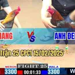 trận gà đen duyên ti đá xổ 300