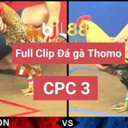trang chủ đá gà thomo