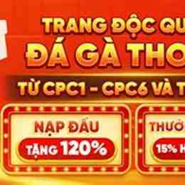 trang đá gà 247