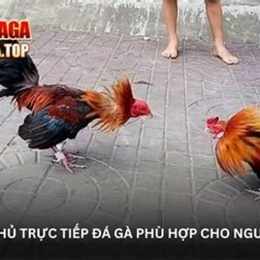 trang đa ga bj38