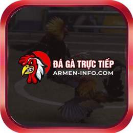 trang đá gà thomo trực tiếp
