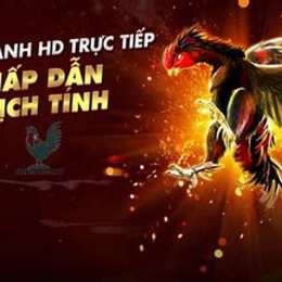 trang da ga truc tip