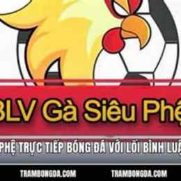 truc tiep bong da gà siêu phệ
