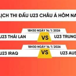 truc tiep bong da ga vang tivi