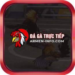 trực tiếp đá gà 88 c6
