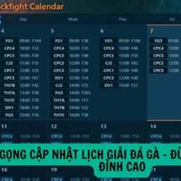 trực tiếp đá gà c3 29/2 tran 41