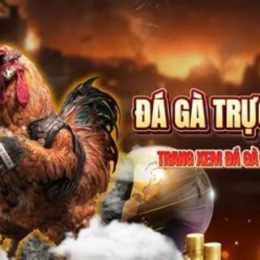 trực tiếp đá gà c3 duyên ti