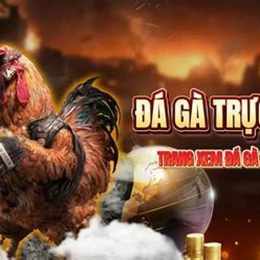 truc tiep đa ga c3 hom nay