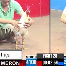 trực tiếp đá gà c3 ngày 13 tháng 6