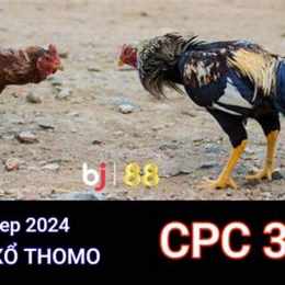 trực tiếp đá gà cpc3 6/7