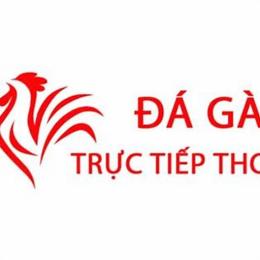 truc tiep da ga thomo 2 9 2022