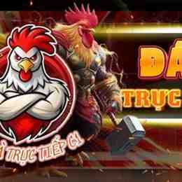 trực tiếp đá gà tre 7
