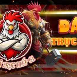 trực tiếp đá gà tre giải